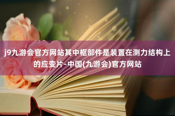 j9九游会官方网站其中枢部件是装置在测力结构上的应变片-中国(九游会)官方网站