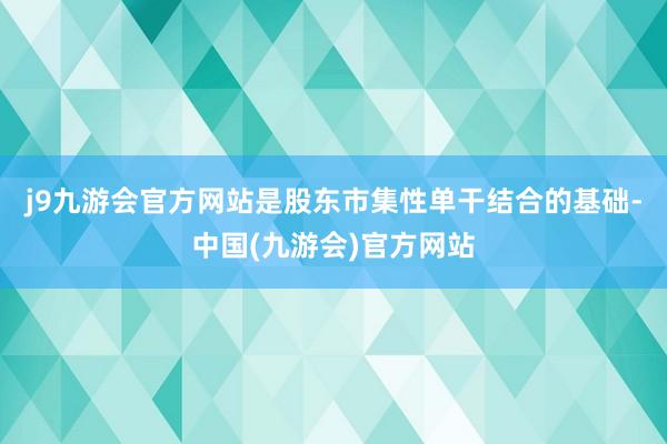 j9九游会官方网站是股东市集性单干结合的基础-中国(九游会)官方网站