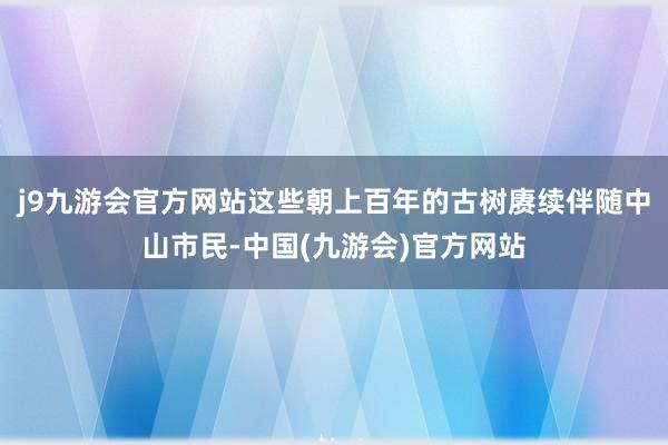 j9九游会官方网站这些朝上百年的古树赓续伴随中山市民-中国(九游会)官方网站